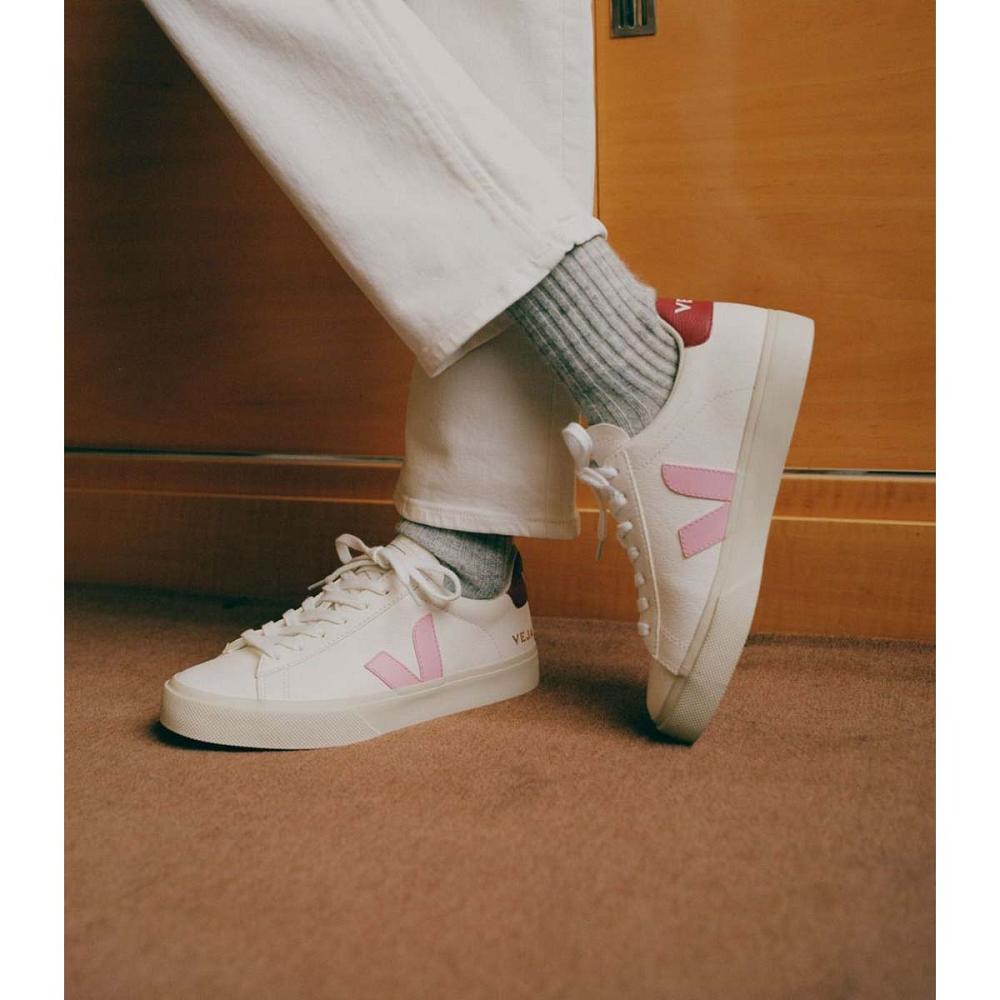 Low Tops Sneakers ανδρικα Veja CAMPO CHROMEFREE White/Pink | GR 293YXF